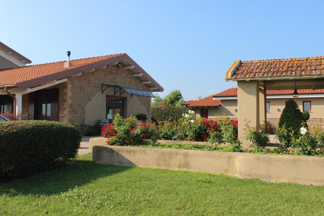 Il Casale Degli Ulivi - Agriturismo - Tenimenti Leone Lanuvio Dış mekan fotoğraf