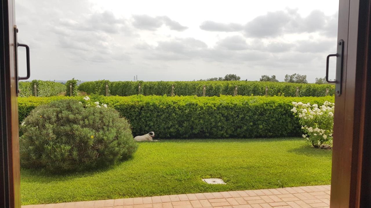 Il Casale Degli Ulivi - Agriturismo - Tenimenti Leone Lanuvio Dış mekan fotoğraf