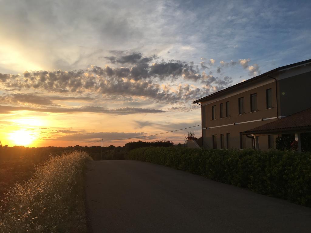 Il Casale Degli Ulivi - Agriturismo - Tenimenti Leone Lanuvio Dış mekan fotoğraf