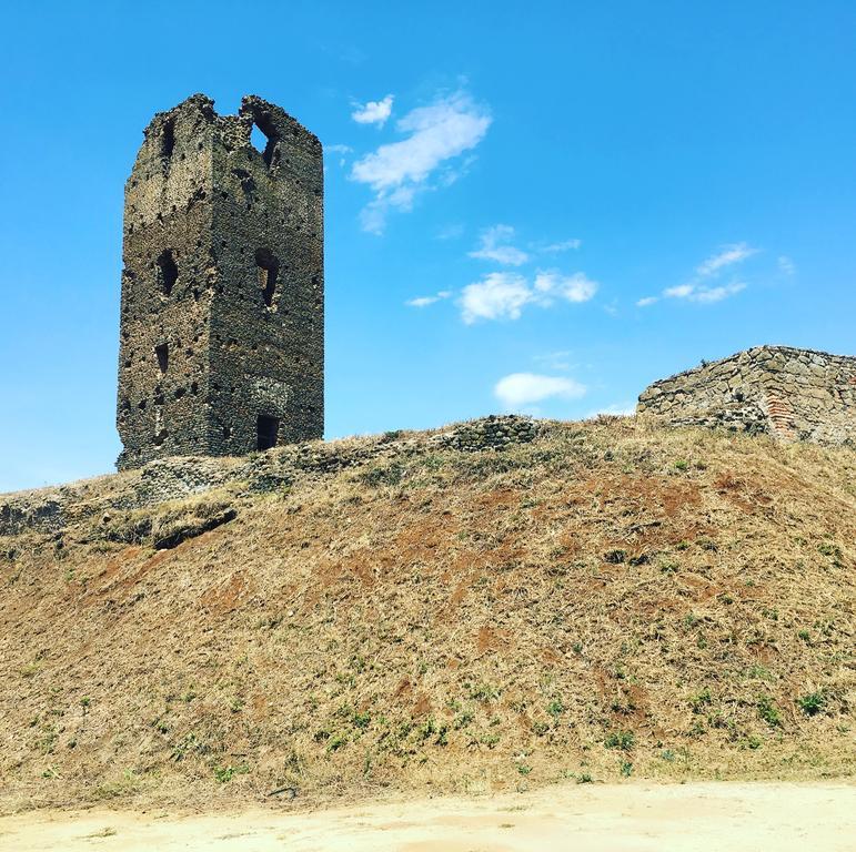 Il Casale Degli Ulivi - Agriturismo - Tenimenti Leone Lanuvio Dış mekan fotoğraf