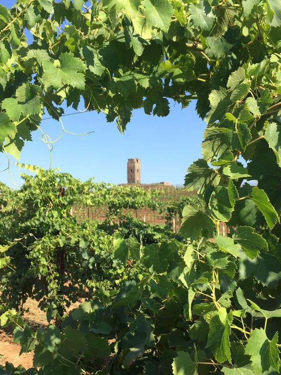Il Casale Degli Ulivi - Agriturismo - Tenimenti Leone Lanuvio Dış mekan fotoğraf