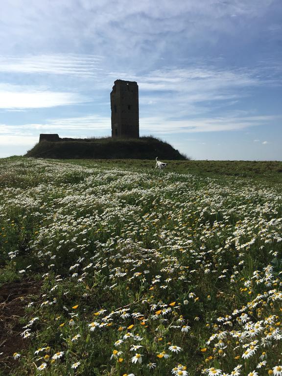 Il Casale Degli Ulivi - Agriturismo - Tenimenti Leone Lanuvio Dış mekan fotoğraf