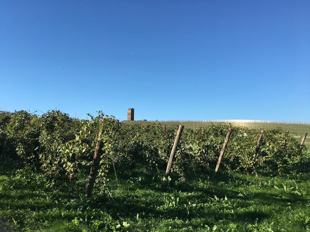 Il Casale Degli Ulivi - Agriturismo - Tenimenti Leone Lanuvio Dış mekan fotoğraf