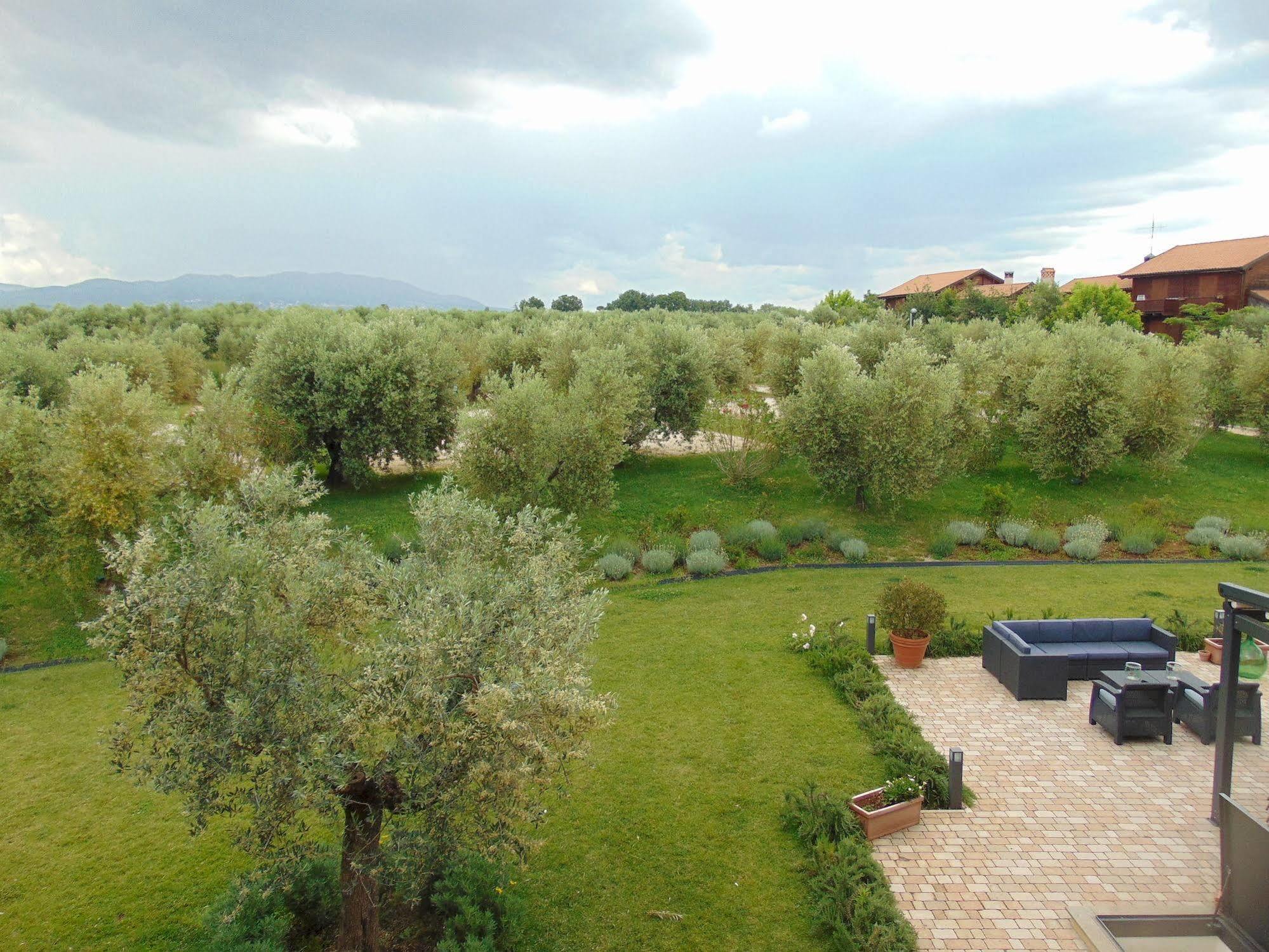 Il Casale Degli Ulivi - Agriturismo - Tenimenti Leone Lanuvio Dış mekan fotoğraf