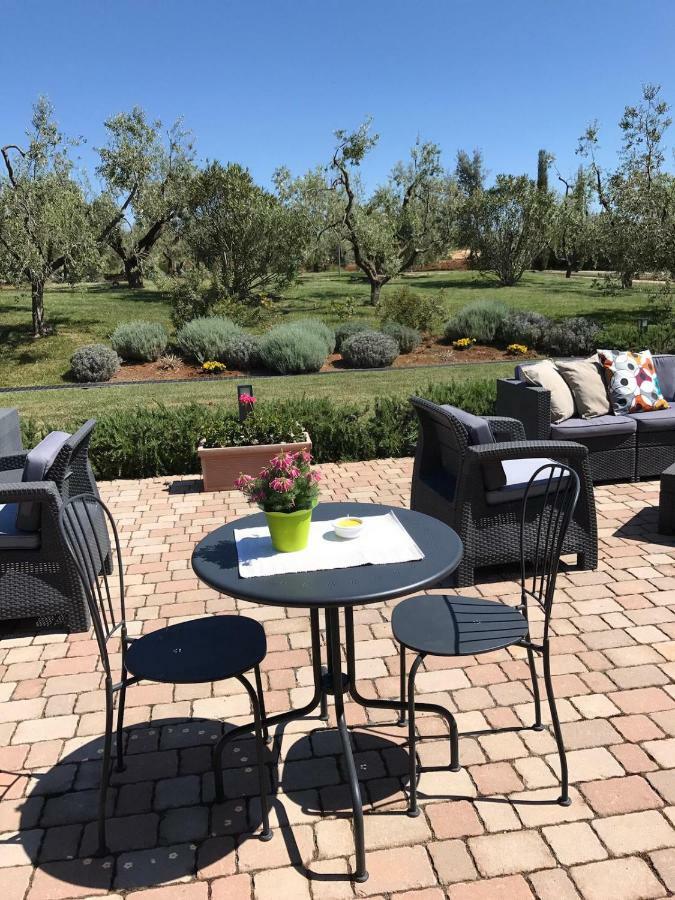 Il Casale Degli Ulivi - Agriturismo - Tenimenti Leone Lanuvio Dış mekan fotoğraf