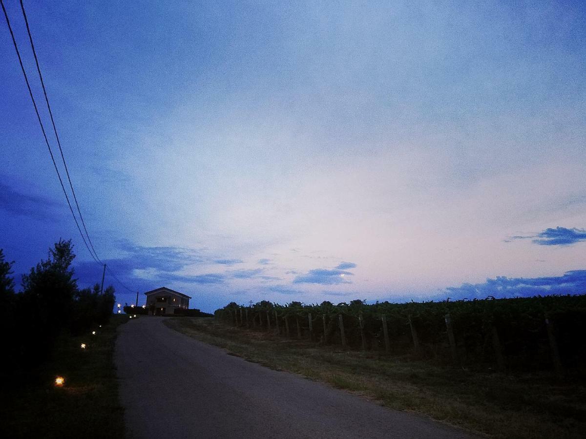 Il Casale Degli Ulivi - Agriturismo - Tenimenti Leone Lanuvio Dış mekan fotoğraf
